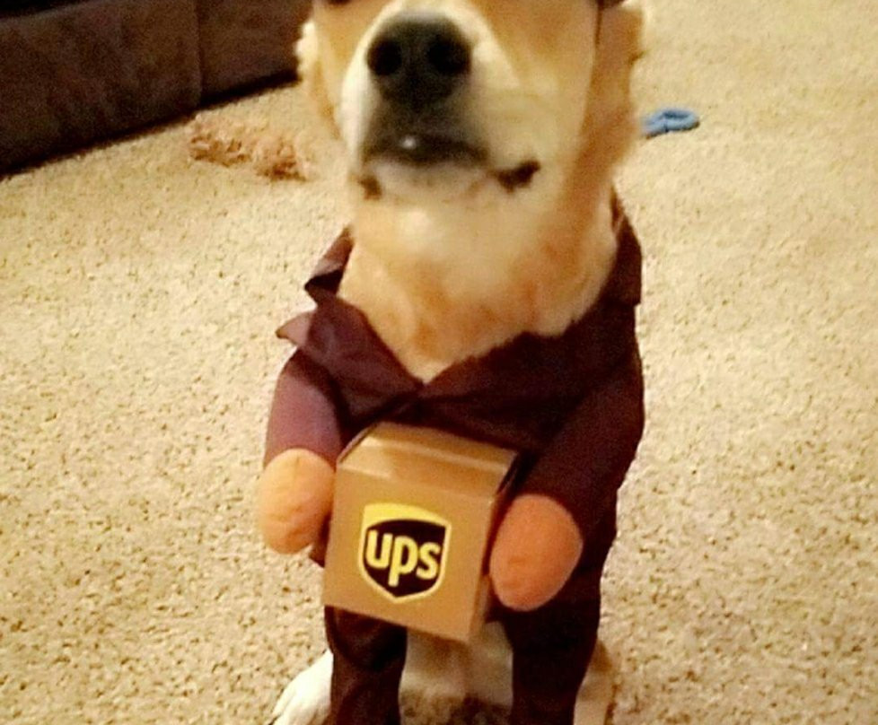 Freaky Findz-圣马科斯必去景点