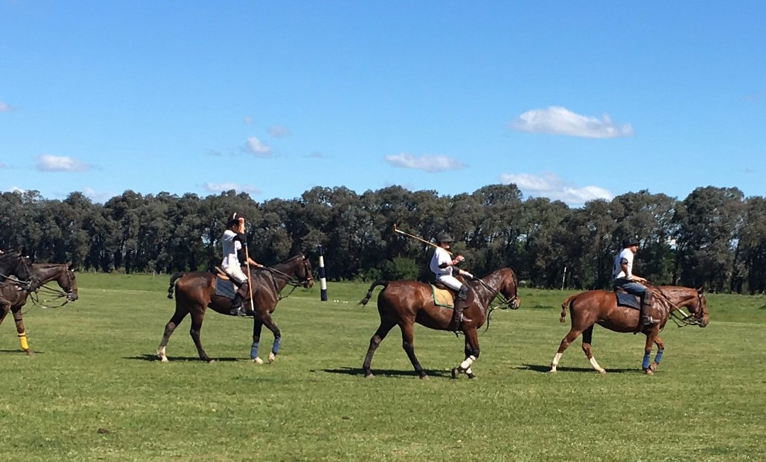 El Cardo Polo Club景点图片