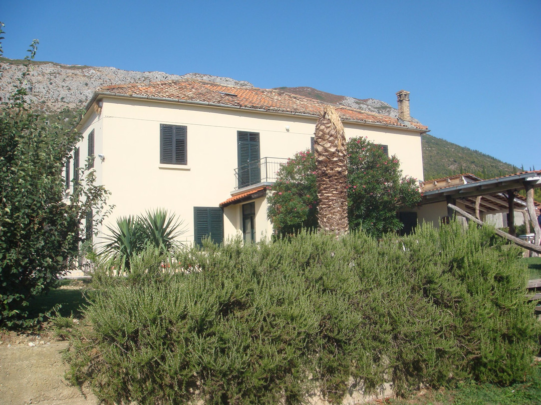 Karaman Winery景点图片