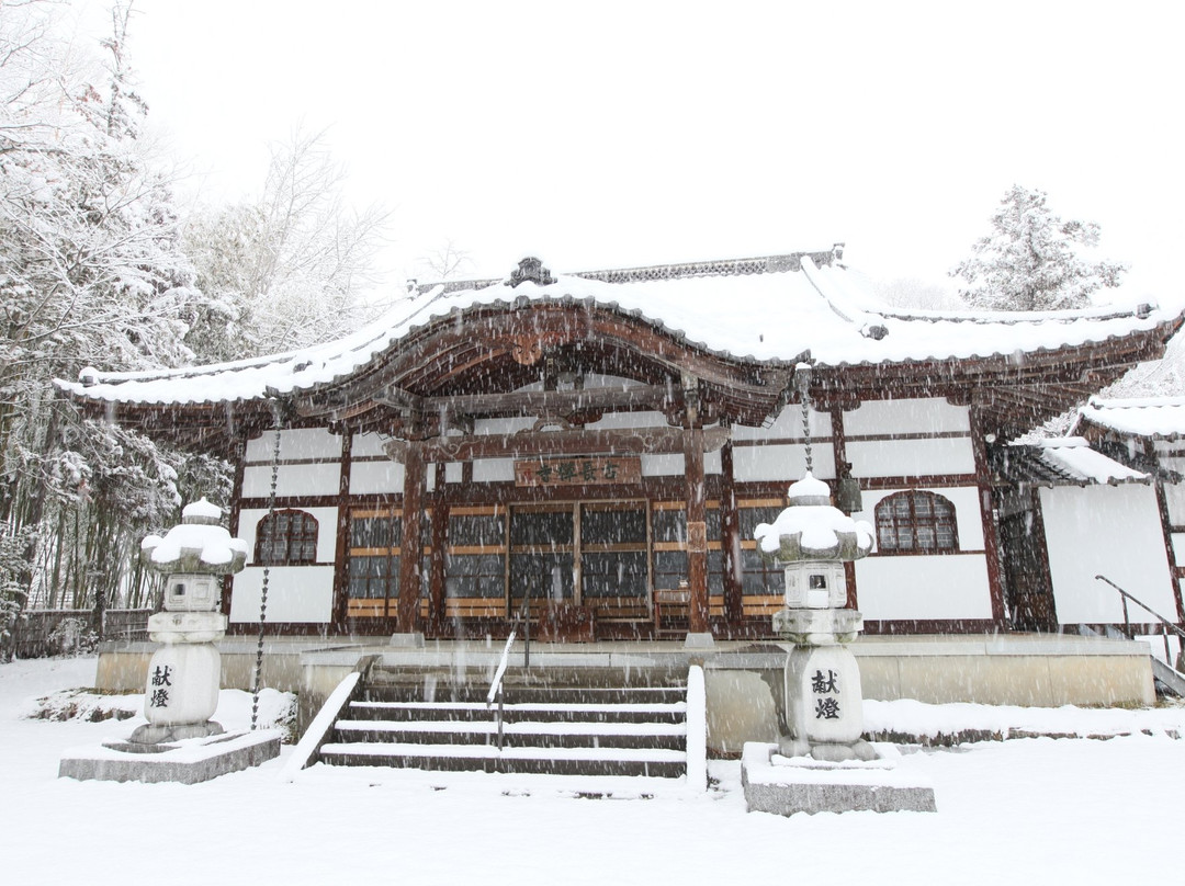 Kochosenji Temple景点图片