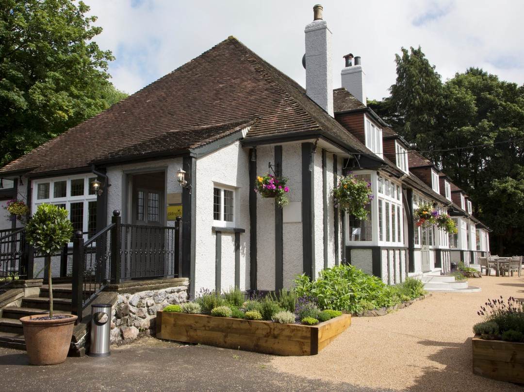 Buckfastleigh旅游攻略图片