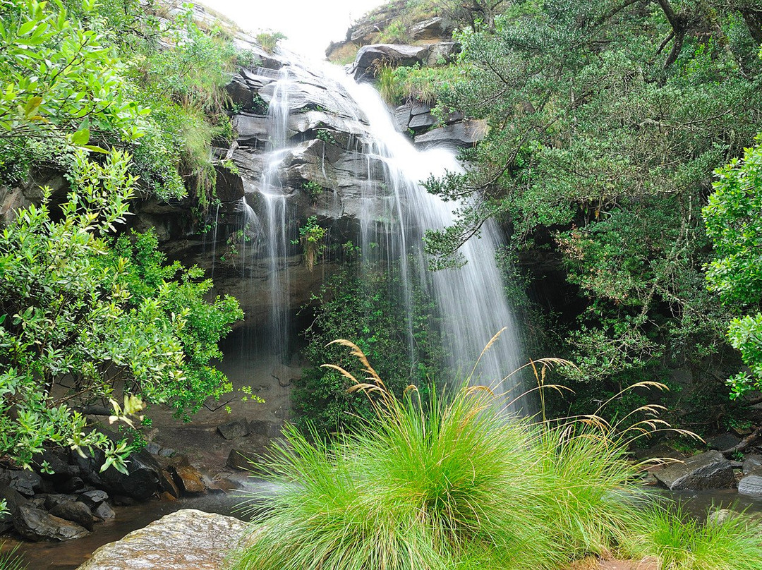 温特顿旅游攻略图片