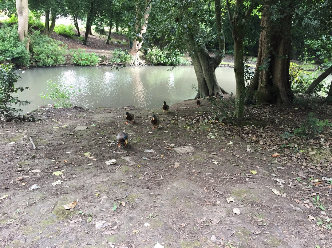 Robert Ashton Memorial Park-Huddersfield必去景点