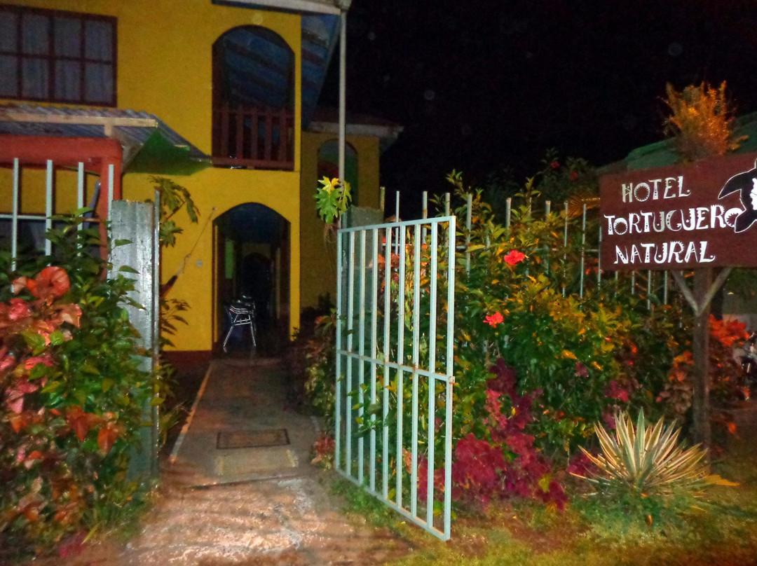 Tortuguero Natural B&B