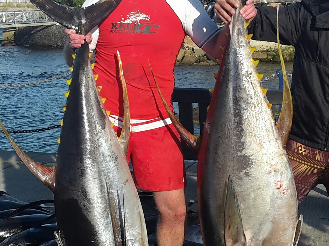 Cape Boat Charters-西门镇必去景点