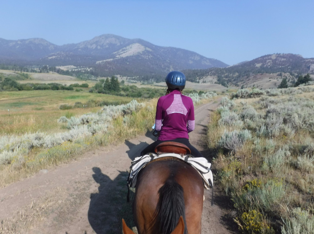 Wilderness Connection-加德纳必去景点