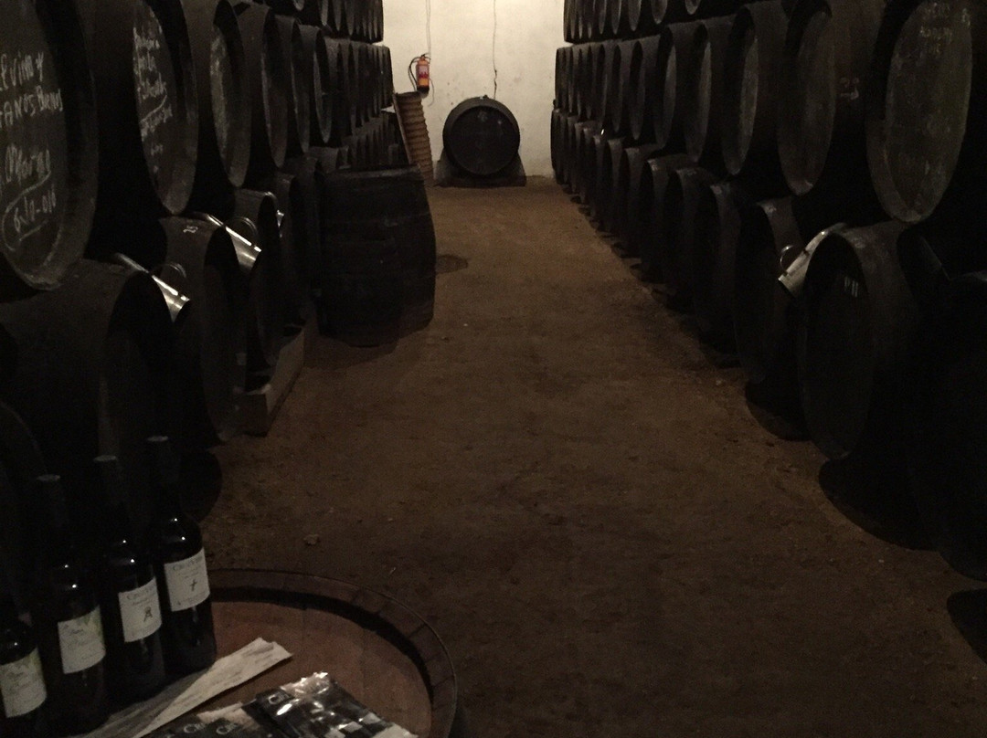 Bodegas Faustino Gonzalez景点图片