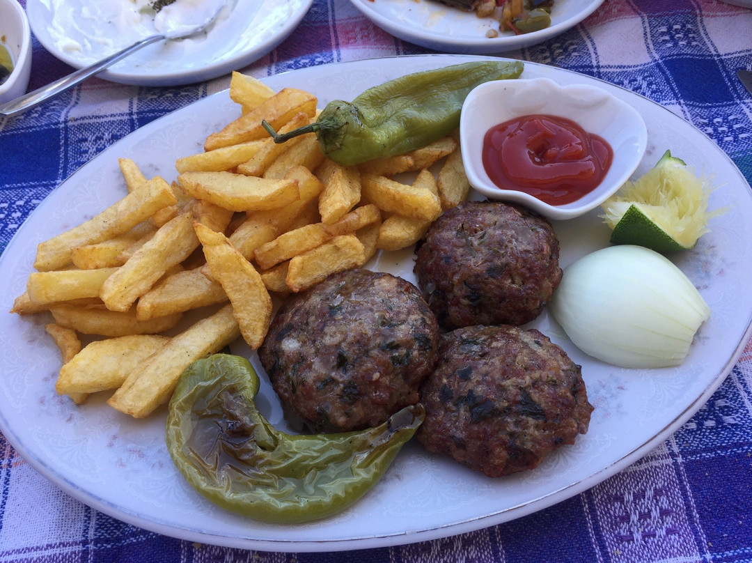Erson Hocanin Organik Ciftligi