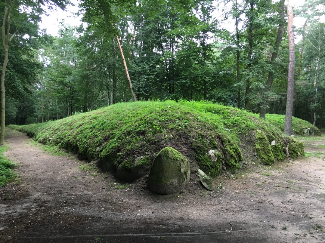 Megaliths Kujawskie Cultural Park in Wietrzychowice景点图片