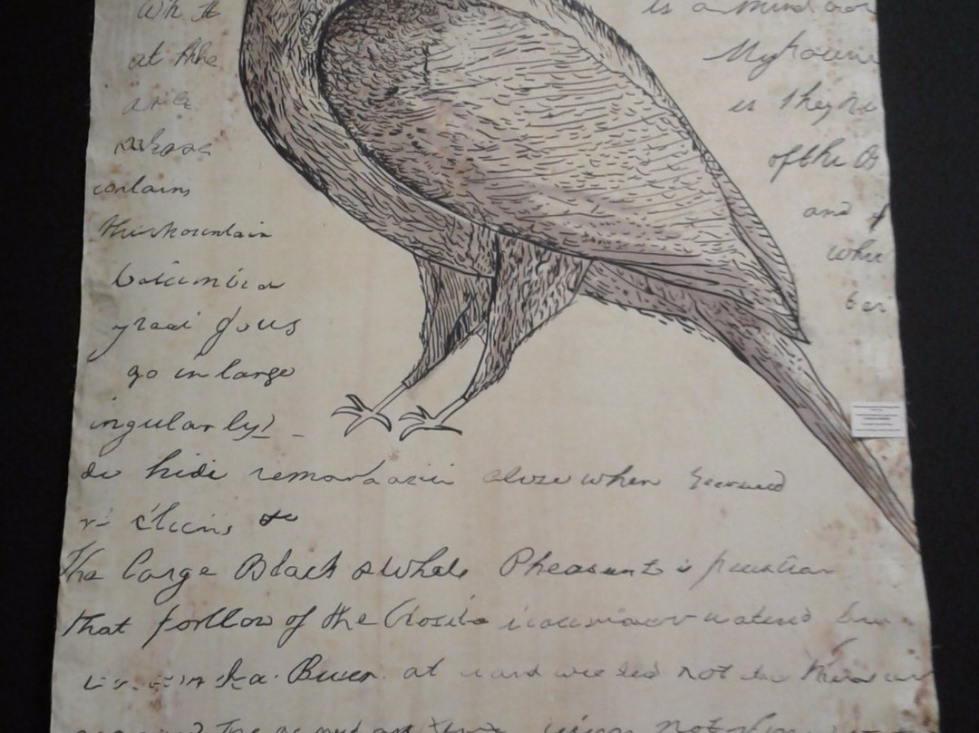 Yellowstone Gateway Museum-利文斯顿必去景点