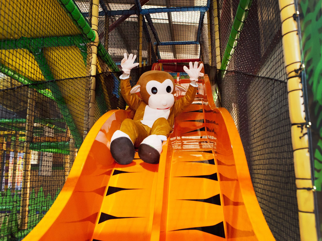 Jungle Jack's-纽奎必去景点