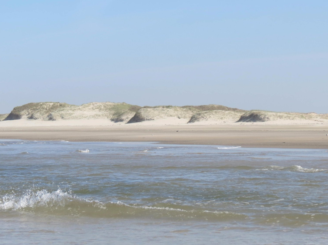 Solidao Beach景点图片