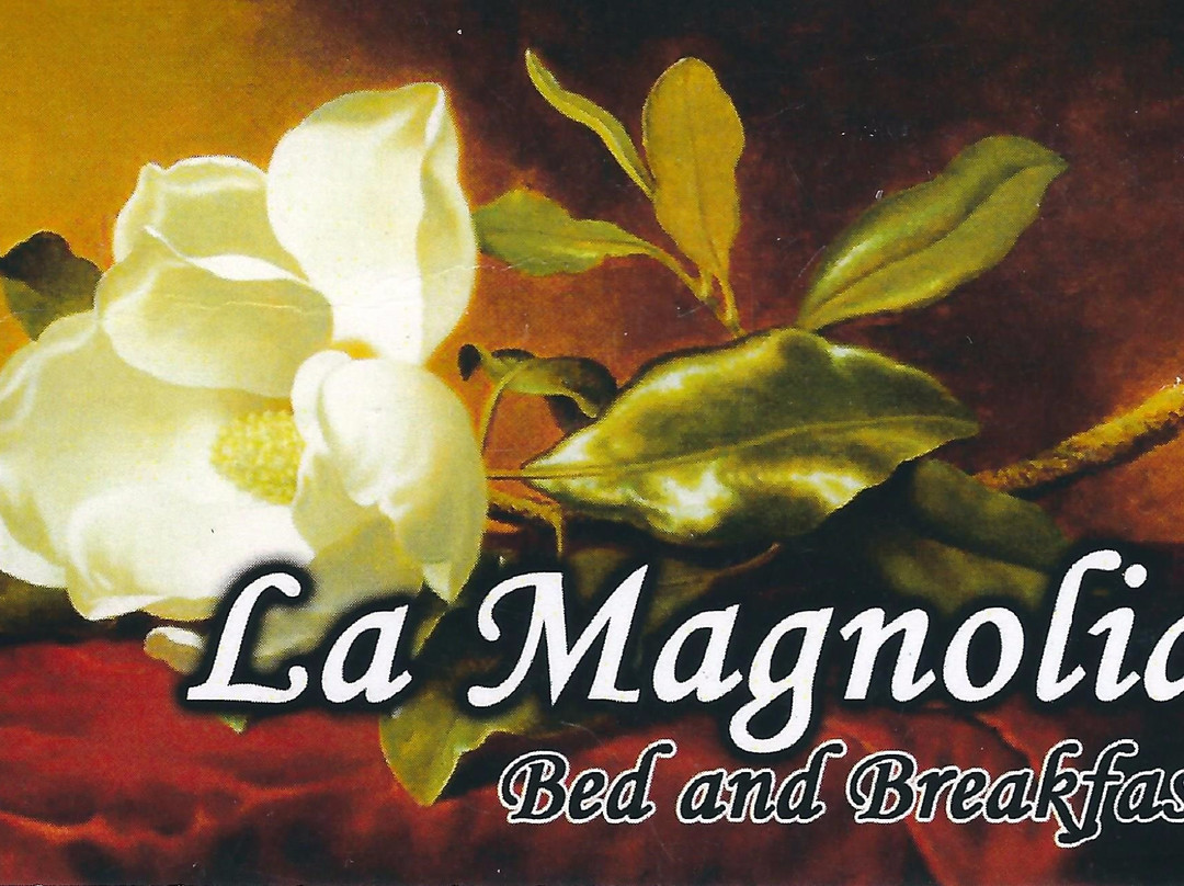 Bed and Breakfast La Magnolia di Elvira Biselli主图