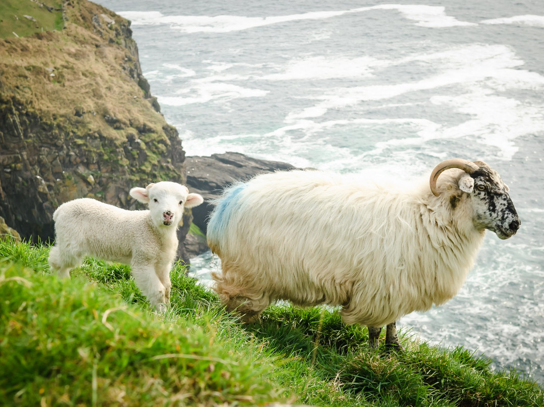 Discover Kerry Tours