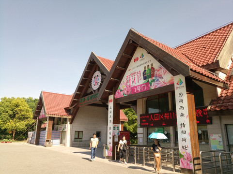 海湾国家森林公园-上海市必去景点