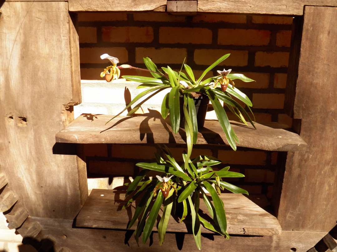 Sitio da Prosperidade景点图片