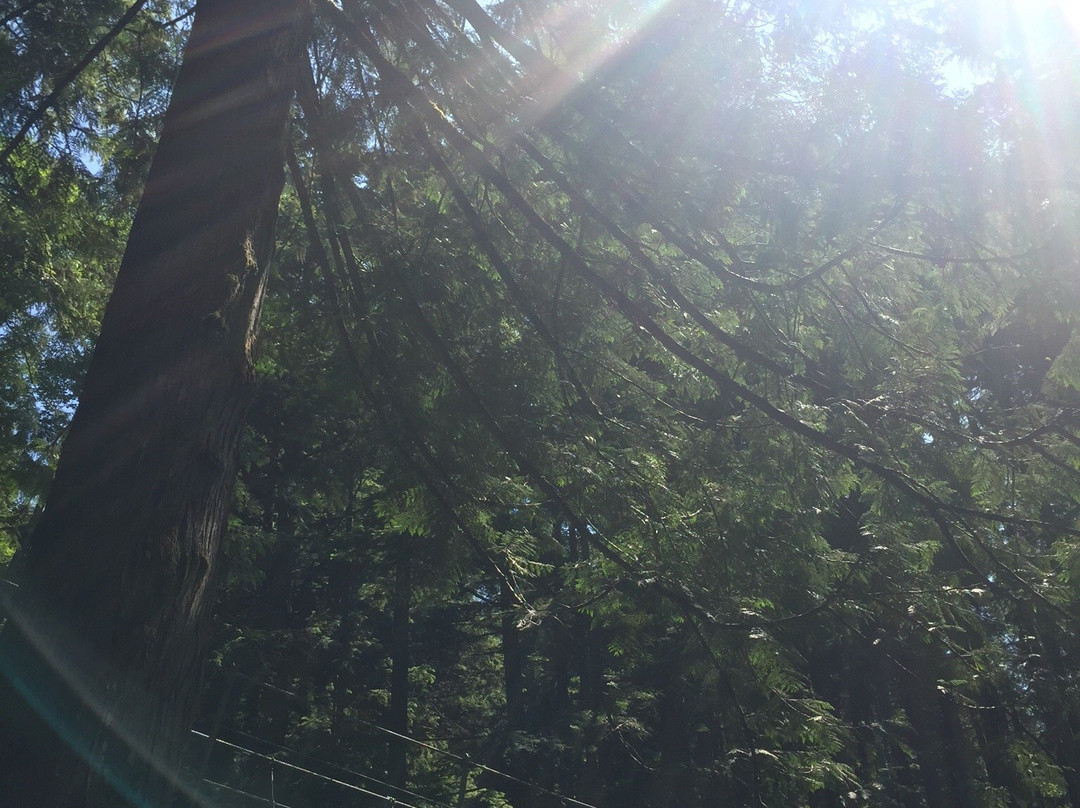 Norvan Falls-北温哥华必去景点