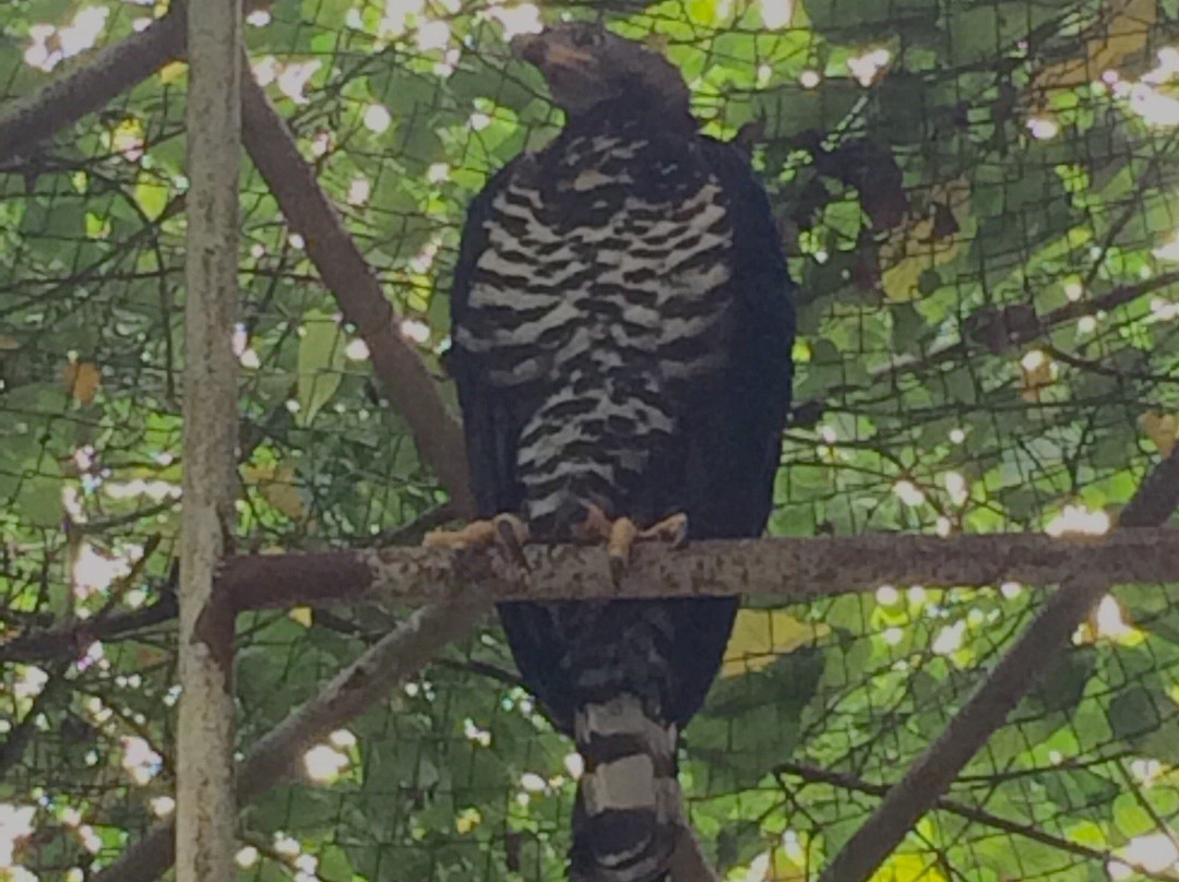 Kumasi Zoo-库马西必去景点