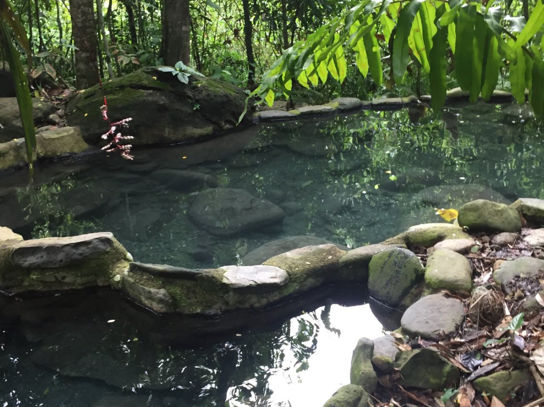Manuel Antonio Hot Springs景点图片