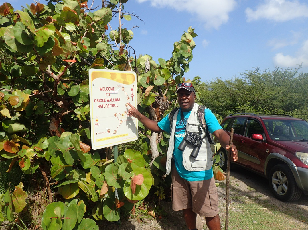 Scriber's Adventure Tours-Little Bay必去景点