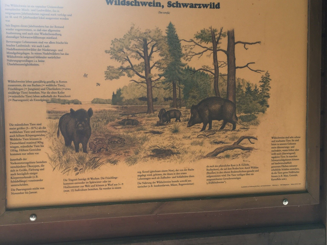 Wildgehege Hülser Berg景点图片