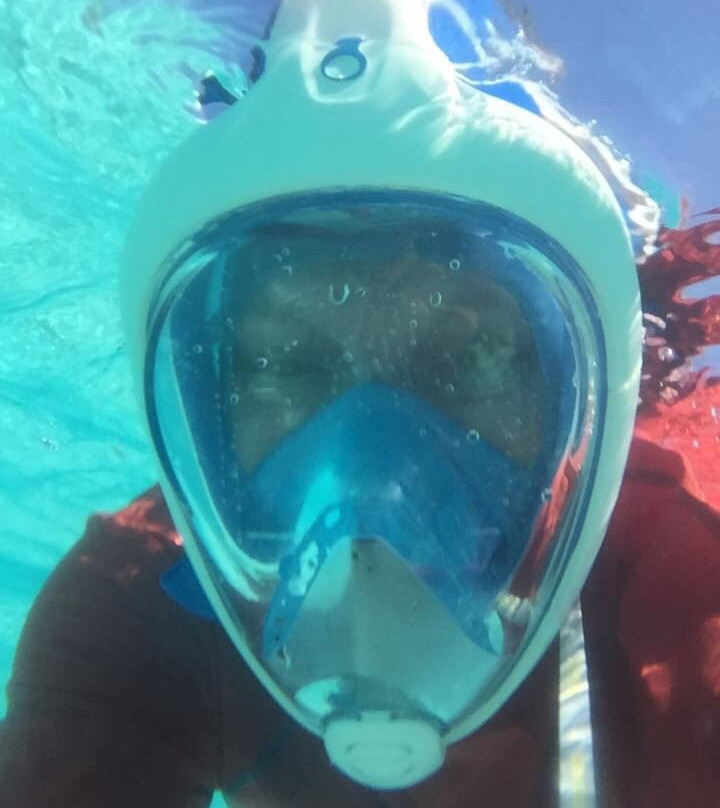 Rainbow Reef-Bimini必去景点