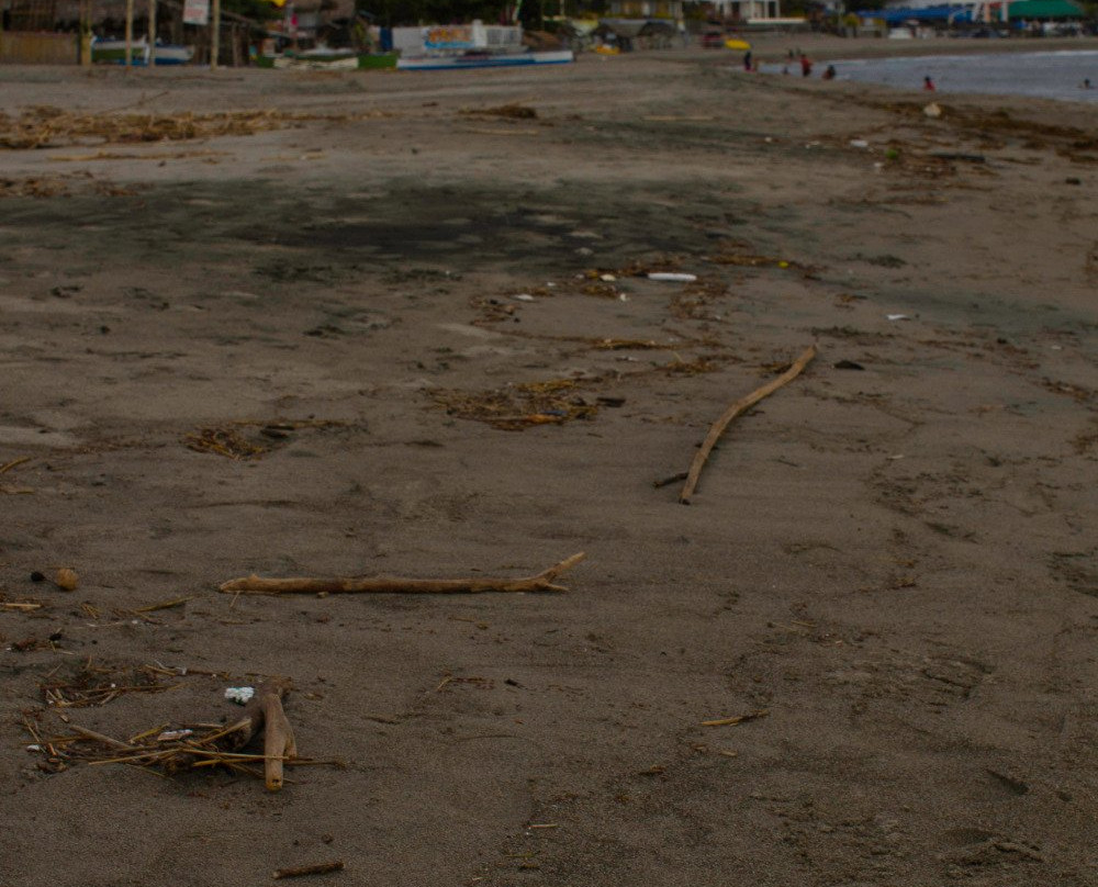 La Union Surf School景点图片