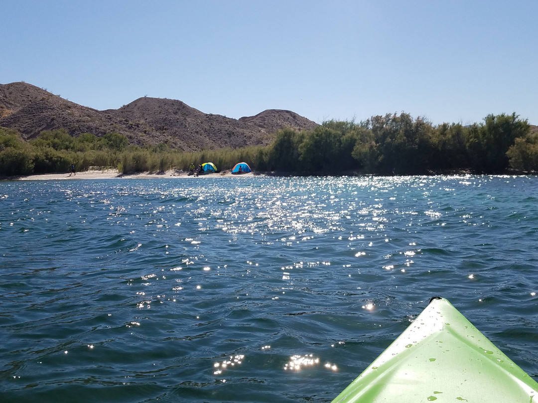 Cottonwood Cove Resort主图