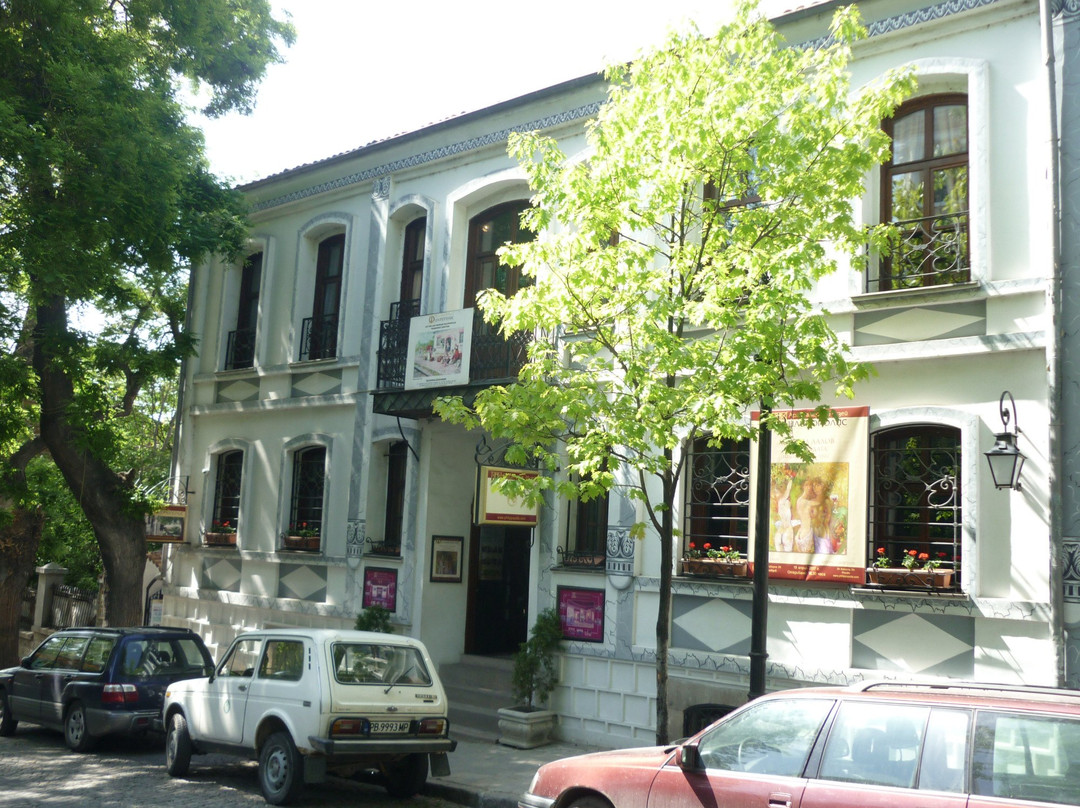 Philippopolis Art Gallery And Museum-普罗夫迪夫必去景点