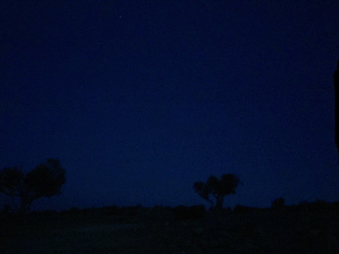 Campfire Oman景点图片
