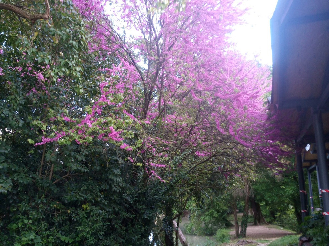 Villa Morosini, Monico, detta "XXV Aprile"-米兰诺必去景点
