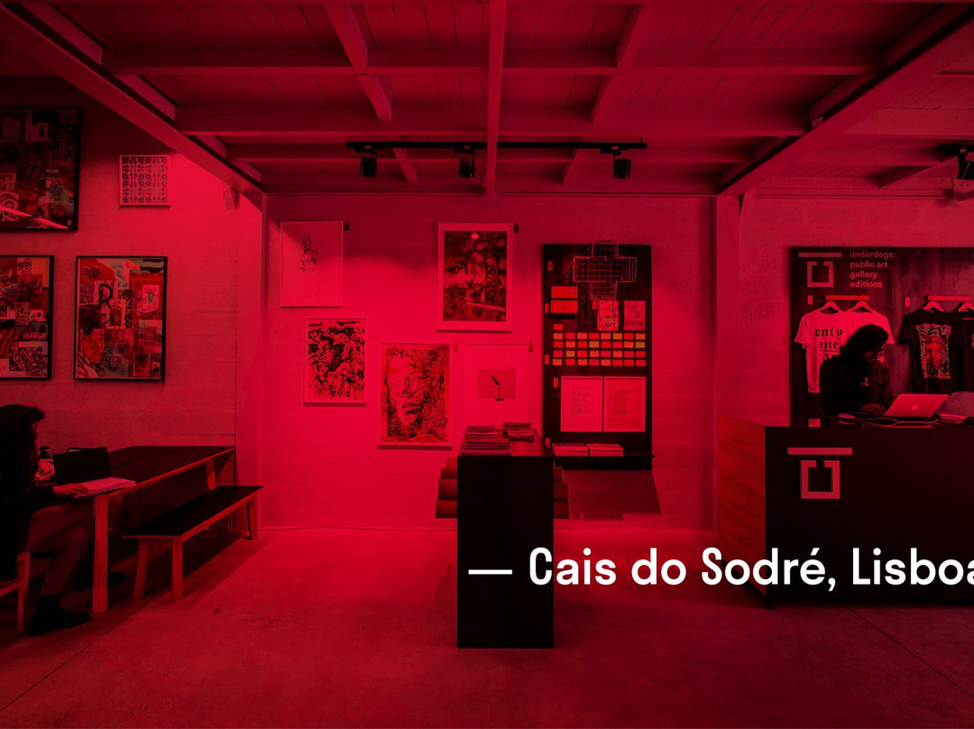 Underdogs Art Store-里斯本必去景点