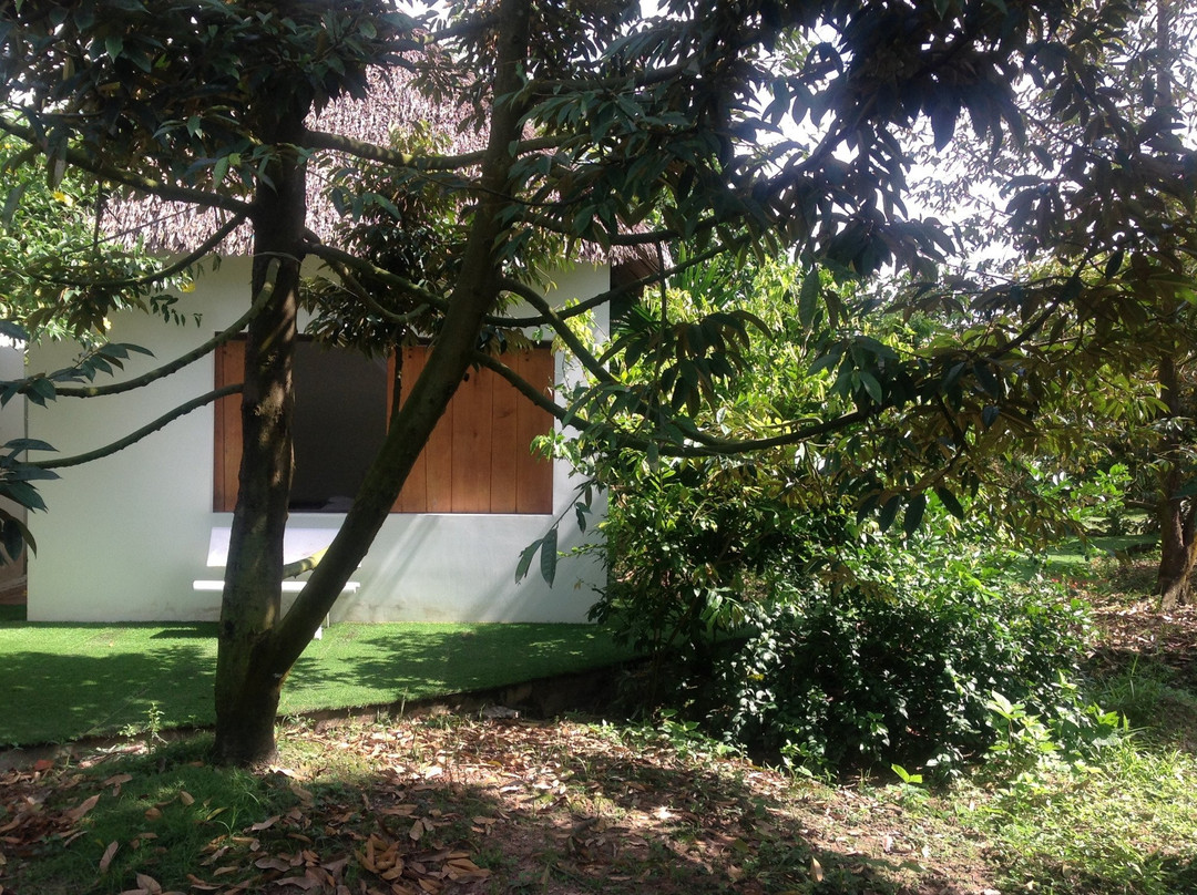 湄公河榴莲山林小屋