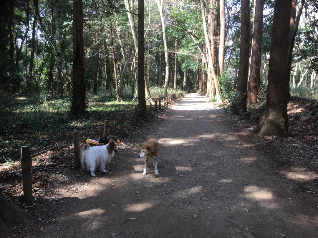 Funabashi Kemmin no Mori-船桥市必去景点