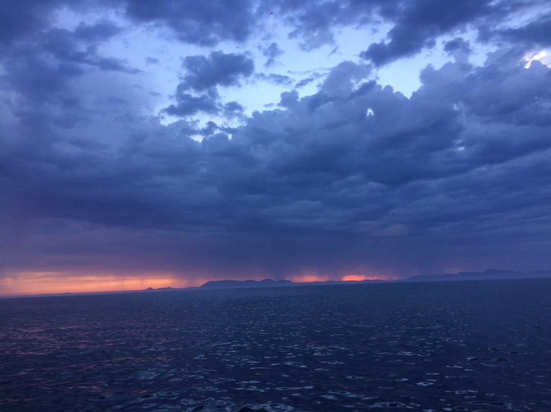 Abigale-高登湾必去景点