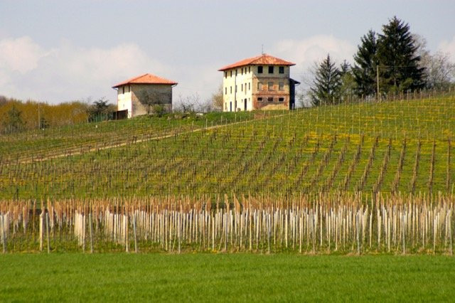 Azienda Agricola Conte Collalto景点图片