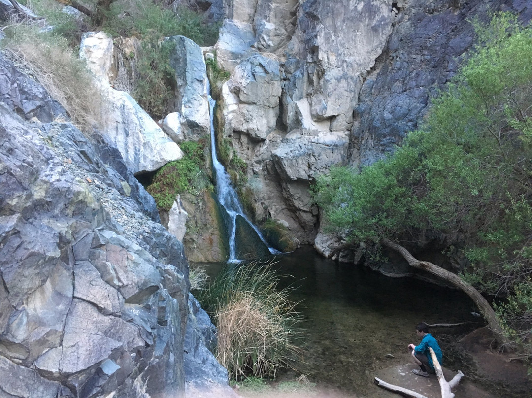 Darwin Falls-死亡谷国家公园必去景点