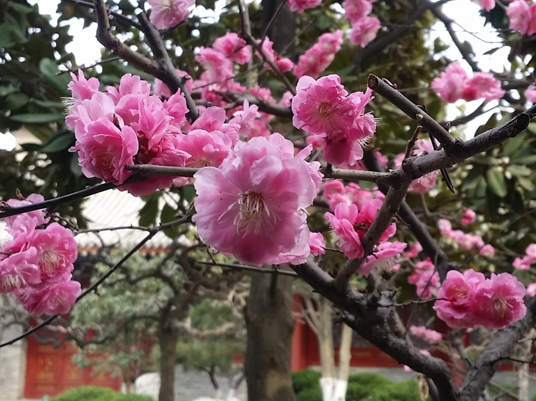 咸阳文庙-咸阳市必去景点