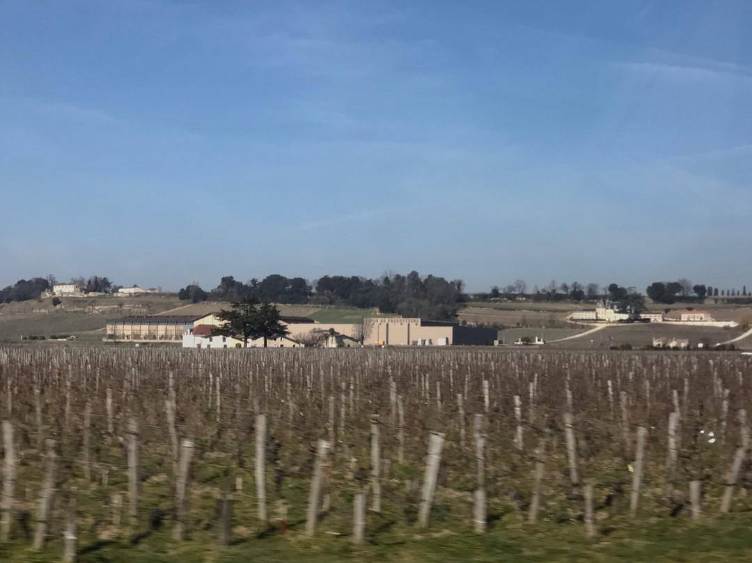 B Wine Tour-Le Pian Medoc必去景点
