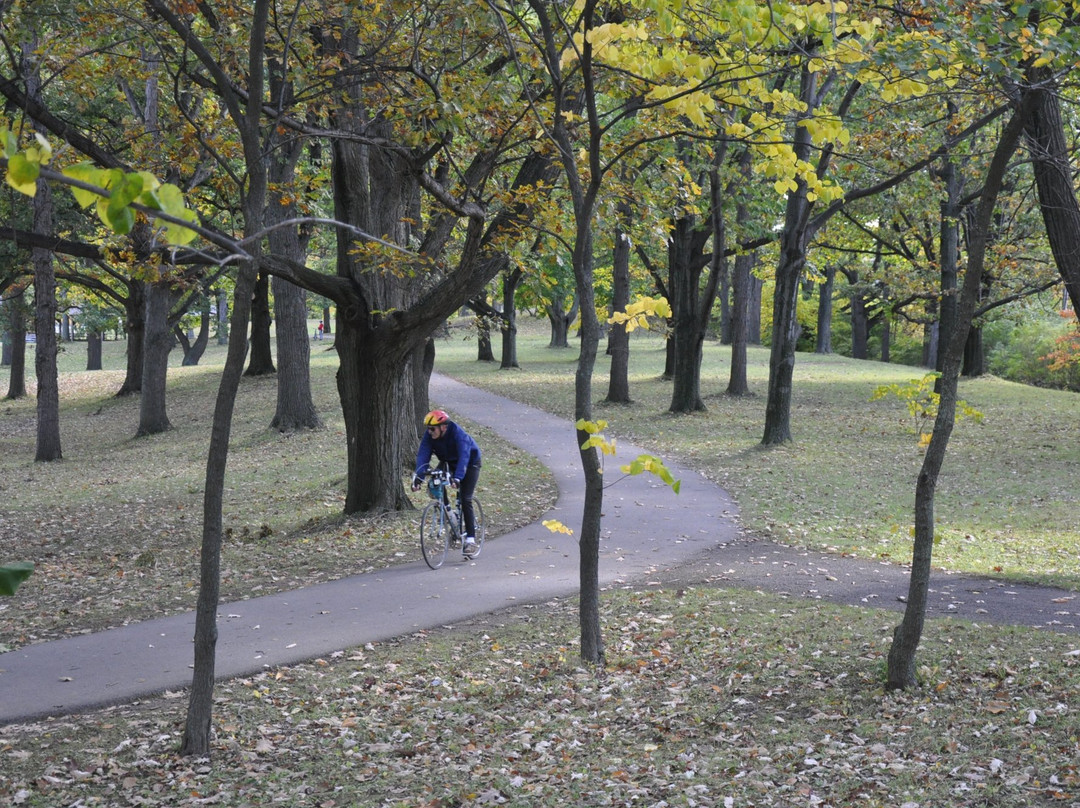 Genesee Valley Park景点图片