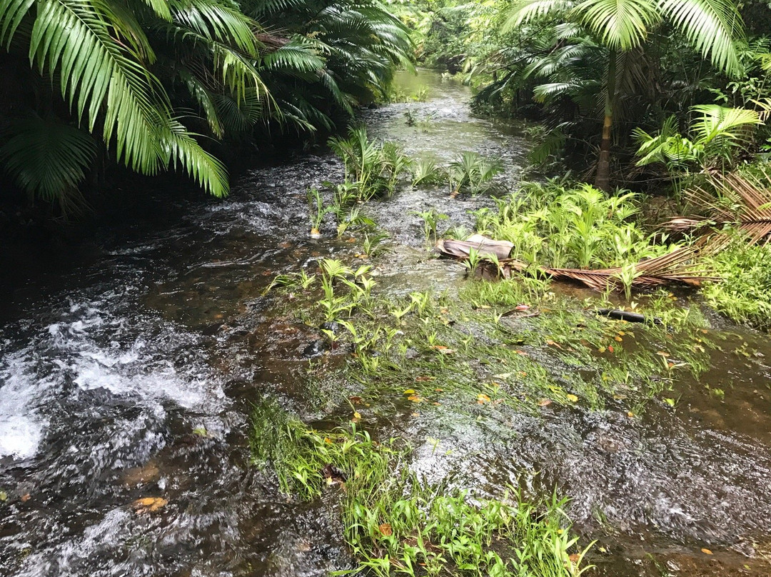 Djiru National Park-翁加灵海滩必去景点
