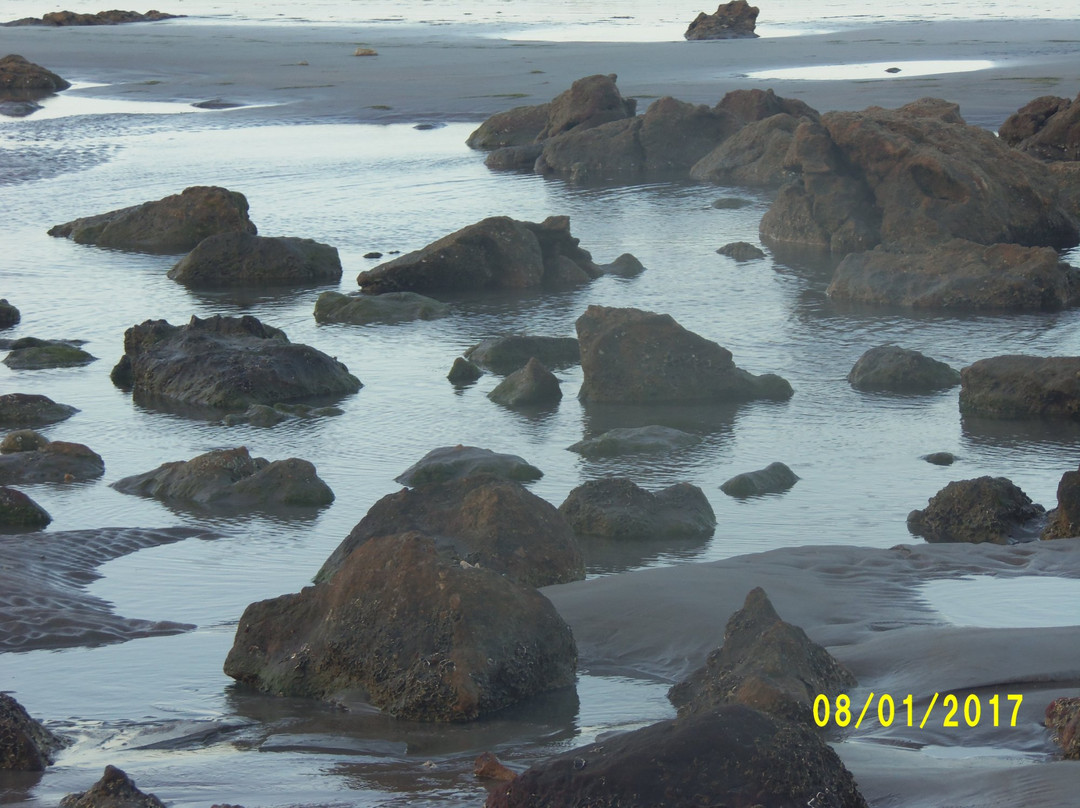 Falesias em Ponta Grossa-Icapui必去景点