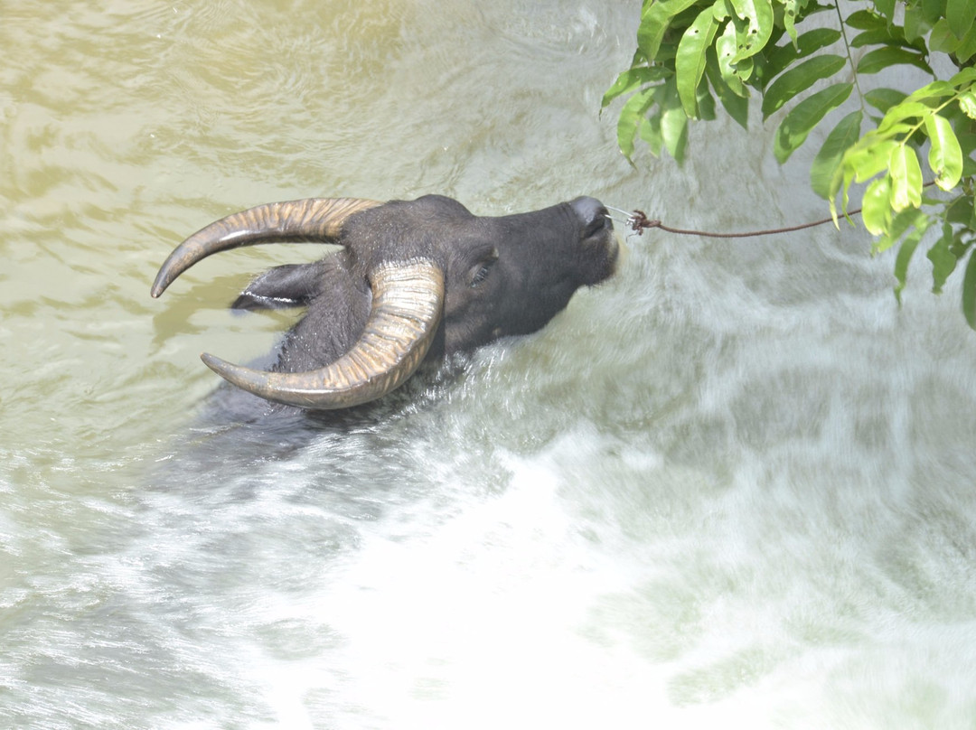 Giang Mo Village-Hoa Binh必去景点