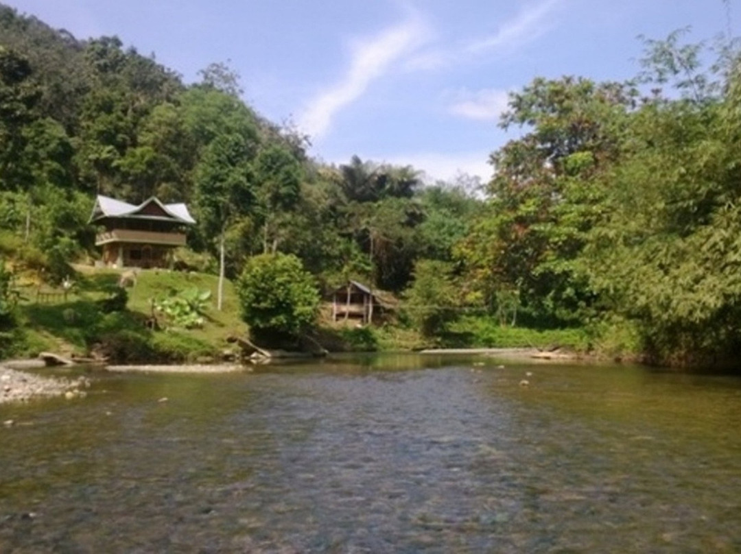 Jungle Hut & Trek Sumatra