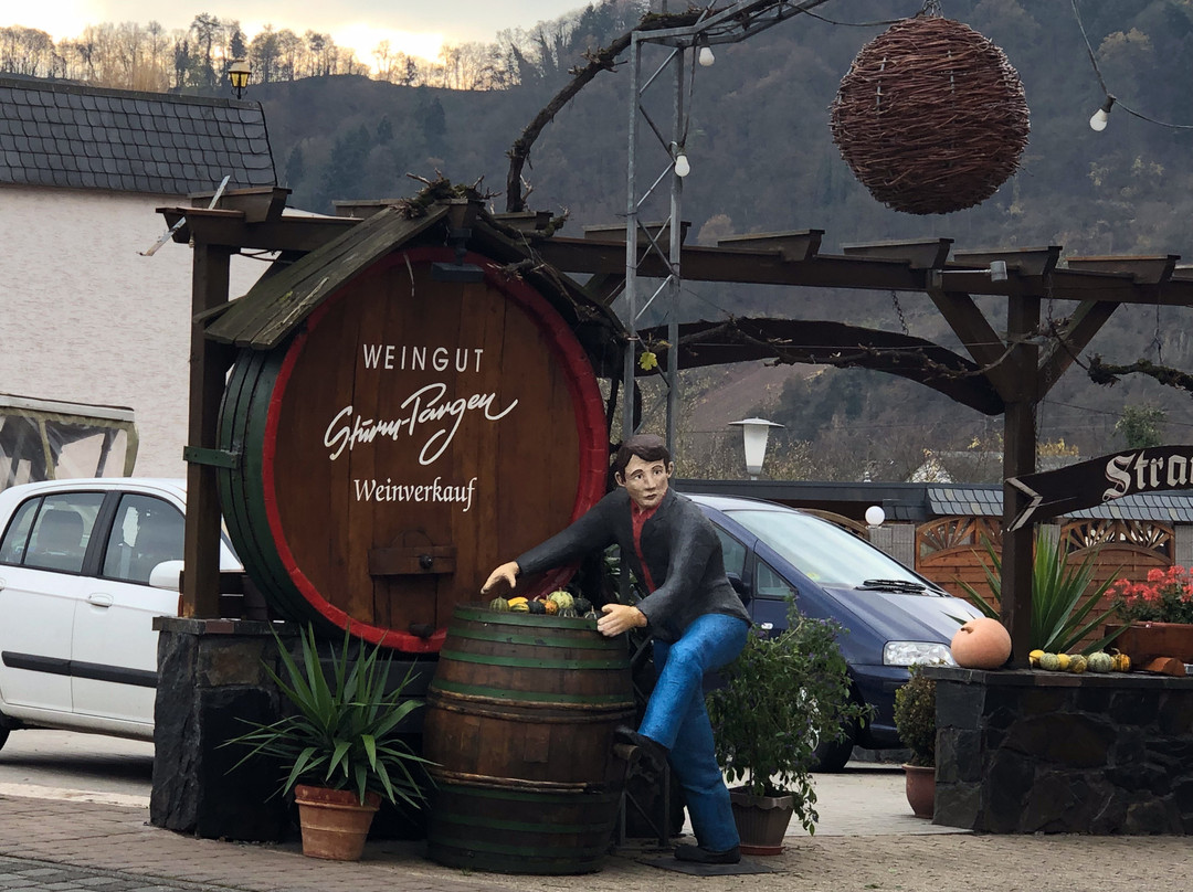 Weingut Sturm-Pargen景点图片