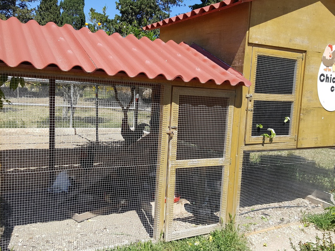 The Petting Farm-Ta' Qali必去景点