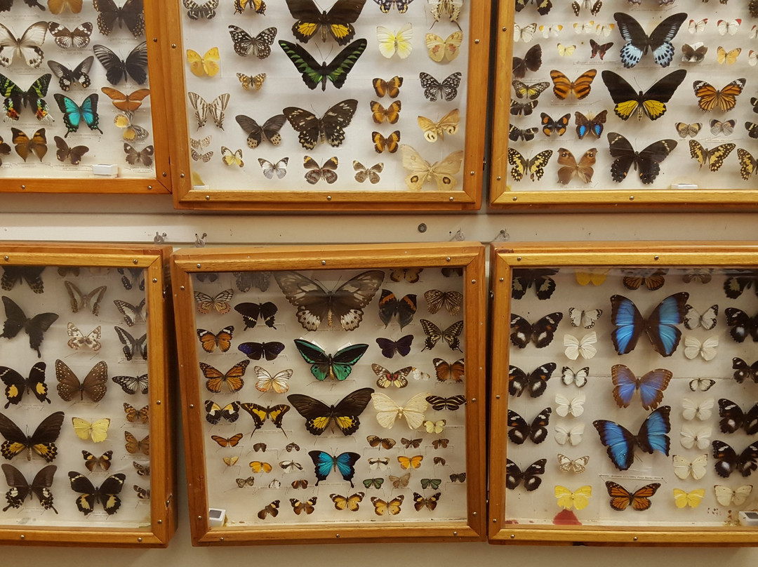 Boyup Brook Visitor Centre-Boyup Brook必去景点