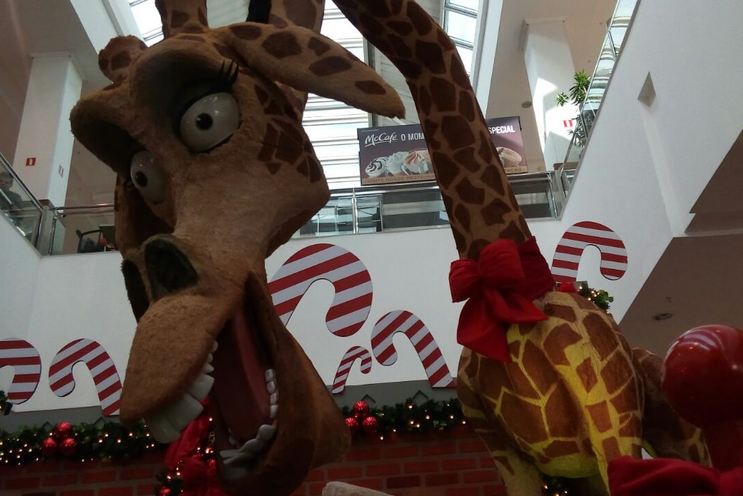 Shopping Mestre Álvaro景点图片