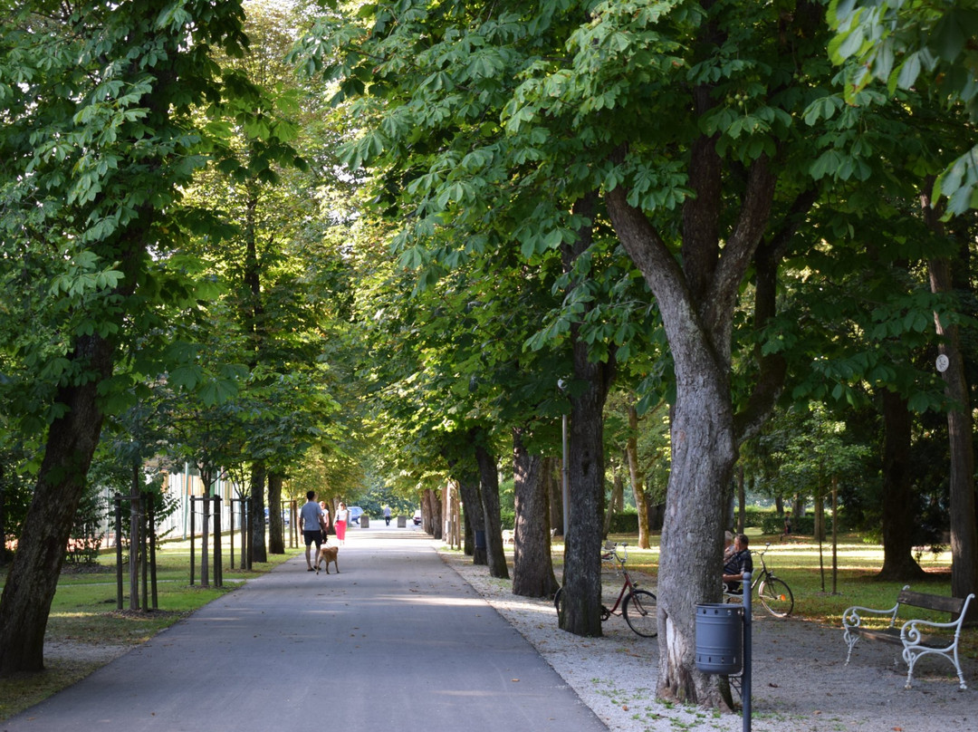 Vrbanić Gardens景点图片