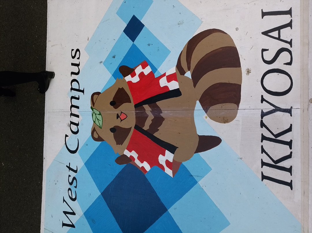 Hitotsubashi University Kunitachi Campus-国立市必去景点